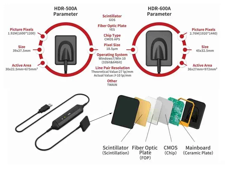 2026年プレミアム医療用品歯科機器高品質歯用X線センサーR - Medical Supplies のレビューと価格